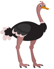 Standing ostrich three quarter view. African animal in cartoon style.
