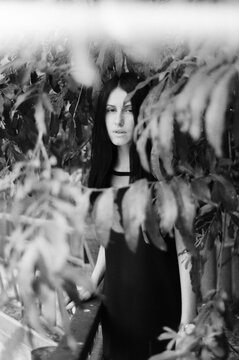 A beaitiful woman looking at camera