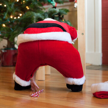Baby Santa bends over to retrieve candy cane
