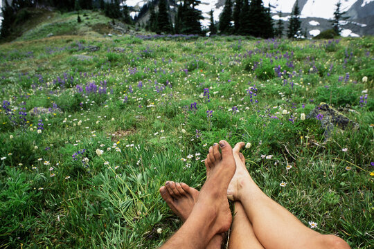 Bruised and beat-up feet of male and female hikers, lush mountain meadow in background