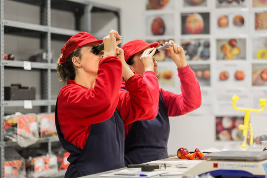 Technician measuring fruit mellowness with a refractometer