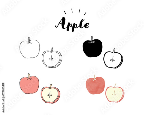 手描きのリンゴのイラストのセット かわいい おしゃれ 断面 果物 フルーツ デザート 食材 Apple Wall Mural App Yugoro
