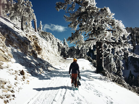 Female Snowboarder Hiking Snowy Trail
