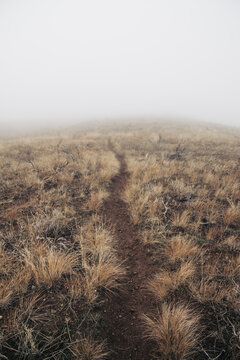 Path Leading into the Clouds