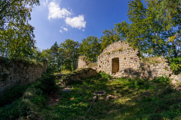 Fototapeta na wymiar Ruins of medieval castle Zbiroh in Czech Paradise, Europe