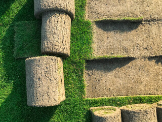 Rolls of lawn green grass top view with strips of earth