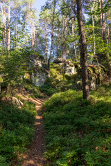Sandstone rock formations in Cesky Raj (Czech Paradise), Europe