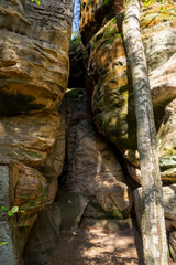 Sandstone rock formations in Cesky Raj (Czech Paradise), Europe
