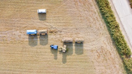 Aerial view of the tractor is transporting sugar beets in the field.