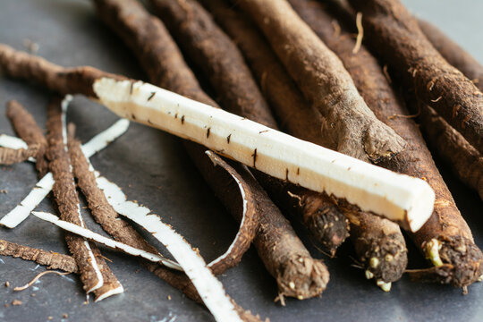 Black salsify