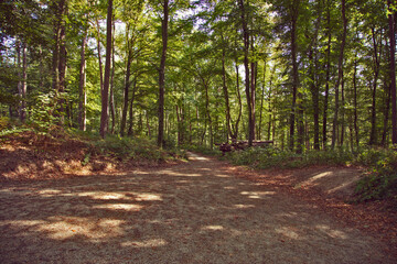 The Huel Lee is man-made caves in Luxembourg Sand-stone. The forest and the surroundings near the caves.