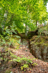 The Huel Lee is man-made caves in Luxembourg Sand-stone. The forest and the surroundings near the...