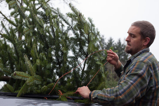 Man ties Christmas tree to top of his minivan