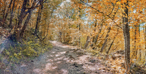 Obraz premium Autumn forest . Hiking trail through the forest in the Great Crimean Canyon .