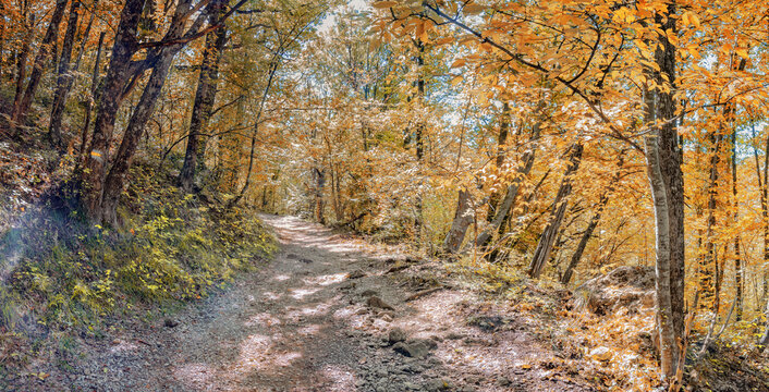 Autumn forest .  Hiking trail through the forest in the Great Crimean Canyon .