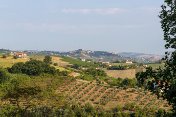 Fototapeta na wymiar views of the Marche countryside, Italy