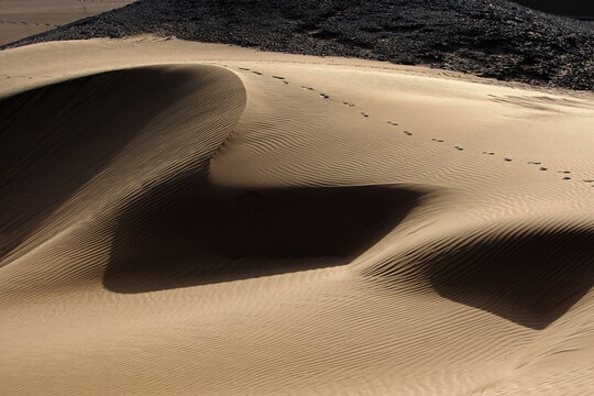 Sand Dunes, Desert and Mountains