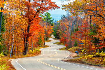 A Road at Autumn in Door County of Wisconsin - obrazy, fototapety, plakaty