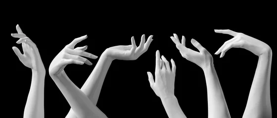 Fotobehang Mannequin hands set, isolated female hand white sculptures elegant gestures isolated 3d rendering concept © vpanteon