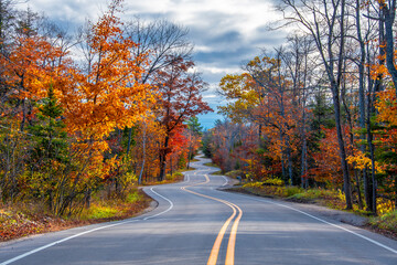 Fototapeta premium A Road at Autumn in Door County of Wisconsin