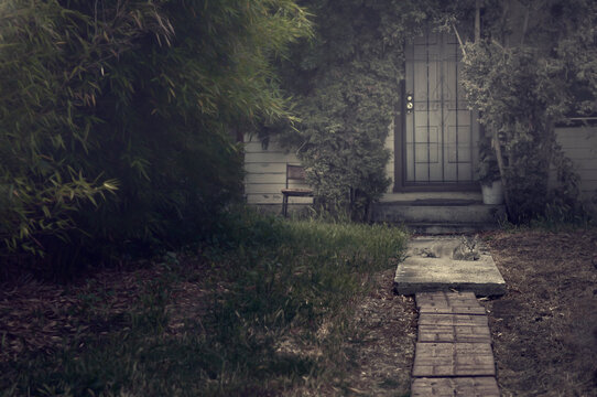 A one-eyed cat is almost invisible on the concrete path to a creepy house