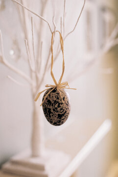 An egg hanging from a branch