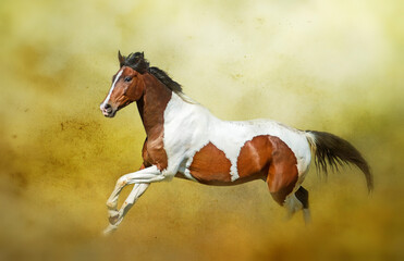 running horse on golden background