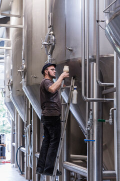 Brewmaster checking beer foam from fermentation container in a b