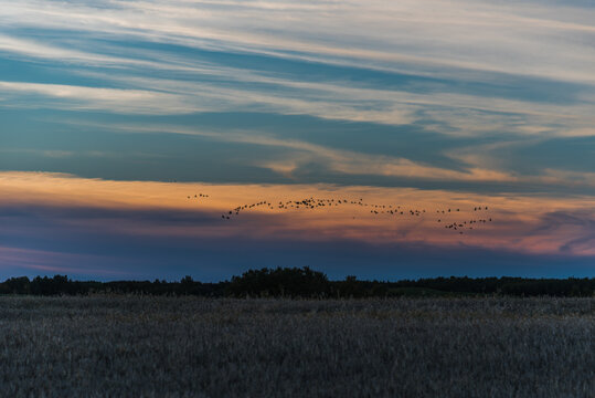 Prairie Sunset