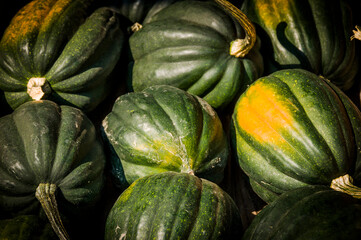 Kürbis, Acorn, grün, Cucurbita Pepo, Speisekürbis, Kürbisernte, Kürbisrezepte, Herbstmarkt, Herbstfest, Herbstdekoration, Herbst, Baselland, Schweiz