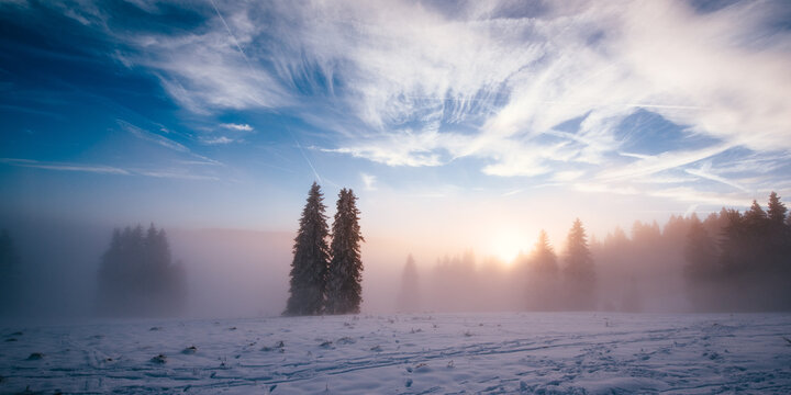 Foggy winter sunset in the Black Forst at Feldber
