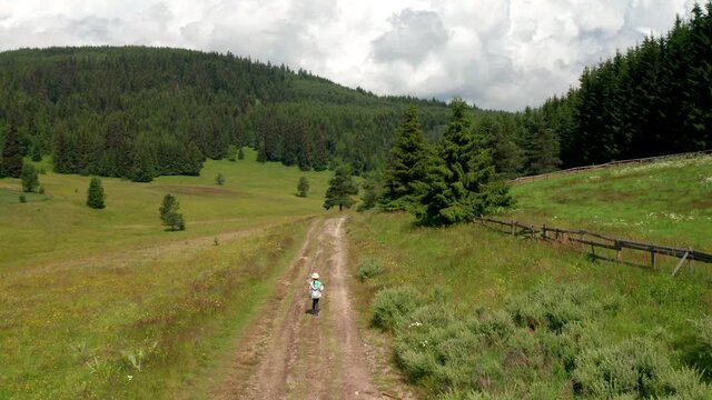 Video of a little girl walking on a forest path passing through a picturesque summer meadow and coniferous forest, the Rhodopes in Bulgaria