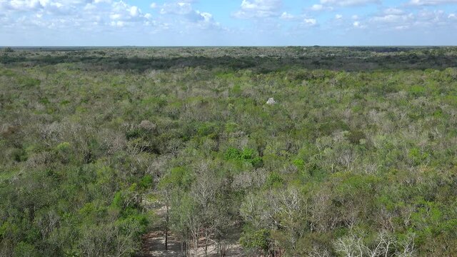 Jungle skyline with Mayan Coba Ruins from the summit of Nohoch Mul (Ixmoja) Pyramid. Coba, Mexico
