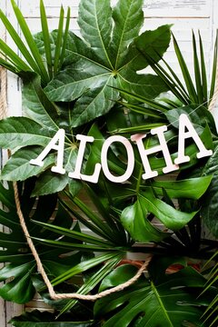 Aloha