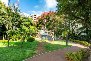 東京都港区の高松くすのき公園
