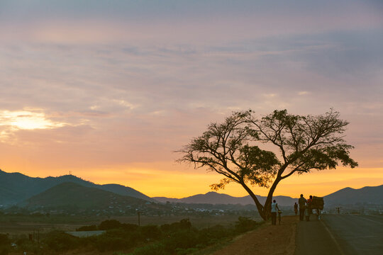 colourful sunrise in Zambia; tree and road in the foreground
