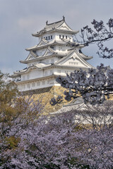 世界遺産姫路城と桜