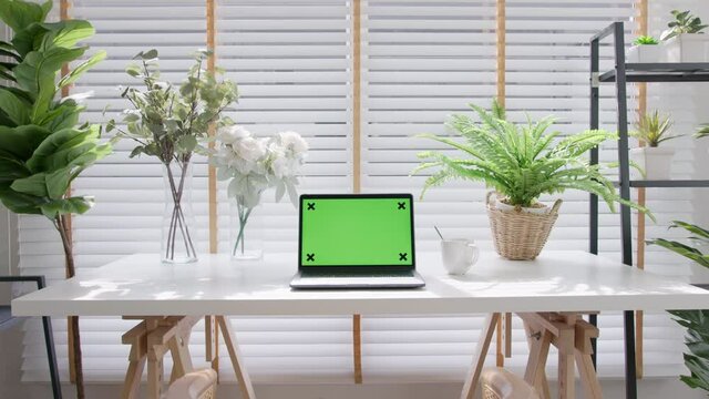 Still shot : Green screen chroma key for display on laptop computer on desk table at home office decorate with indoor house plants in home office interior workspace.