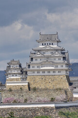 世界遺産姫路城と桜