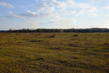 Obraz premium Cloudy sky over a field. A small forest in the distance.