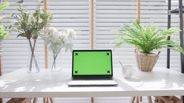 Zoom in : Green screen chroma key for display on laptop computer on desk table at home office decorate with indoor house plants in home office interior workspace.
