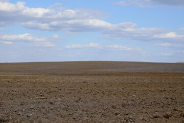 A plowed agricultural field. Blue sky over a farm field.