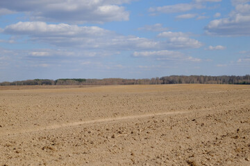 A plowed agricultural field. Blue sky over a farm field.