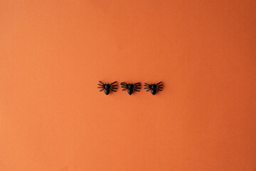 Top view of scary spiders on orange background with copy space