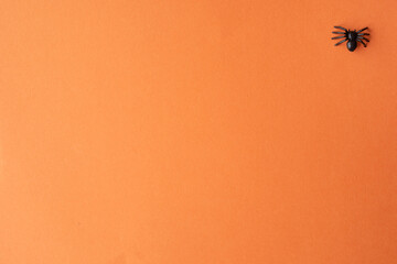 Top view of scary spiders on orange background with copy space