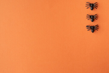 Top view of scary spiders on orange background with copy space