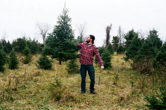 man holds up tree he chopped