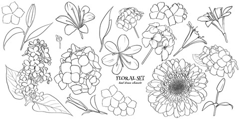 Flower illustration - Floral set flower, leaves and branches . Hand made design elements in sketch style. Perfect for invitations, greeting cards, tattoos, prints.