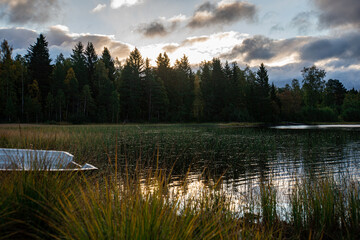 Morning light over the landscape 