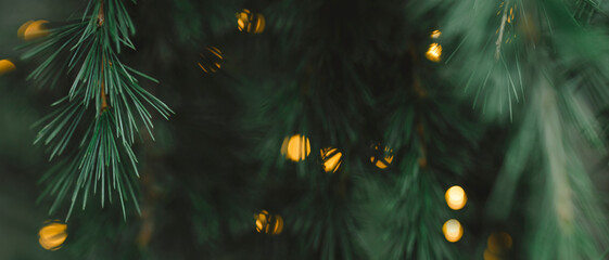 Blurred lights shining amongst tree branches background